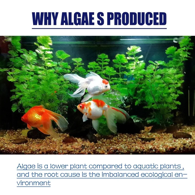 50g High Efficiency Algaecide  - Water Soluble Stabilizer recension och pris