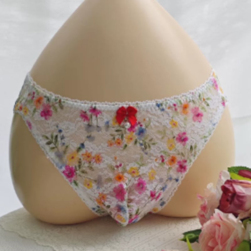 Sheer Sexy Man's Lace Panties  - Embroidery Underwear recension och pris